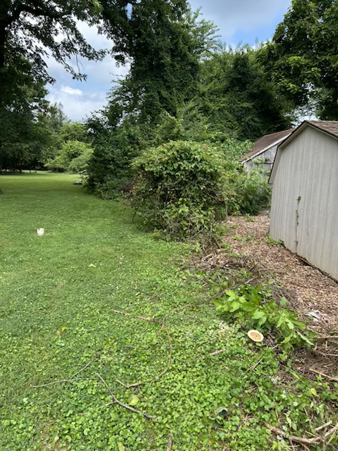 Yard Work 1