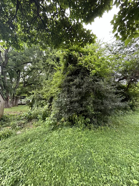 Yard Work 2
