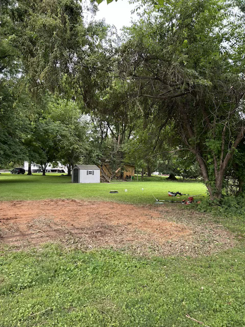 Yard Work 3