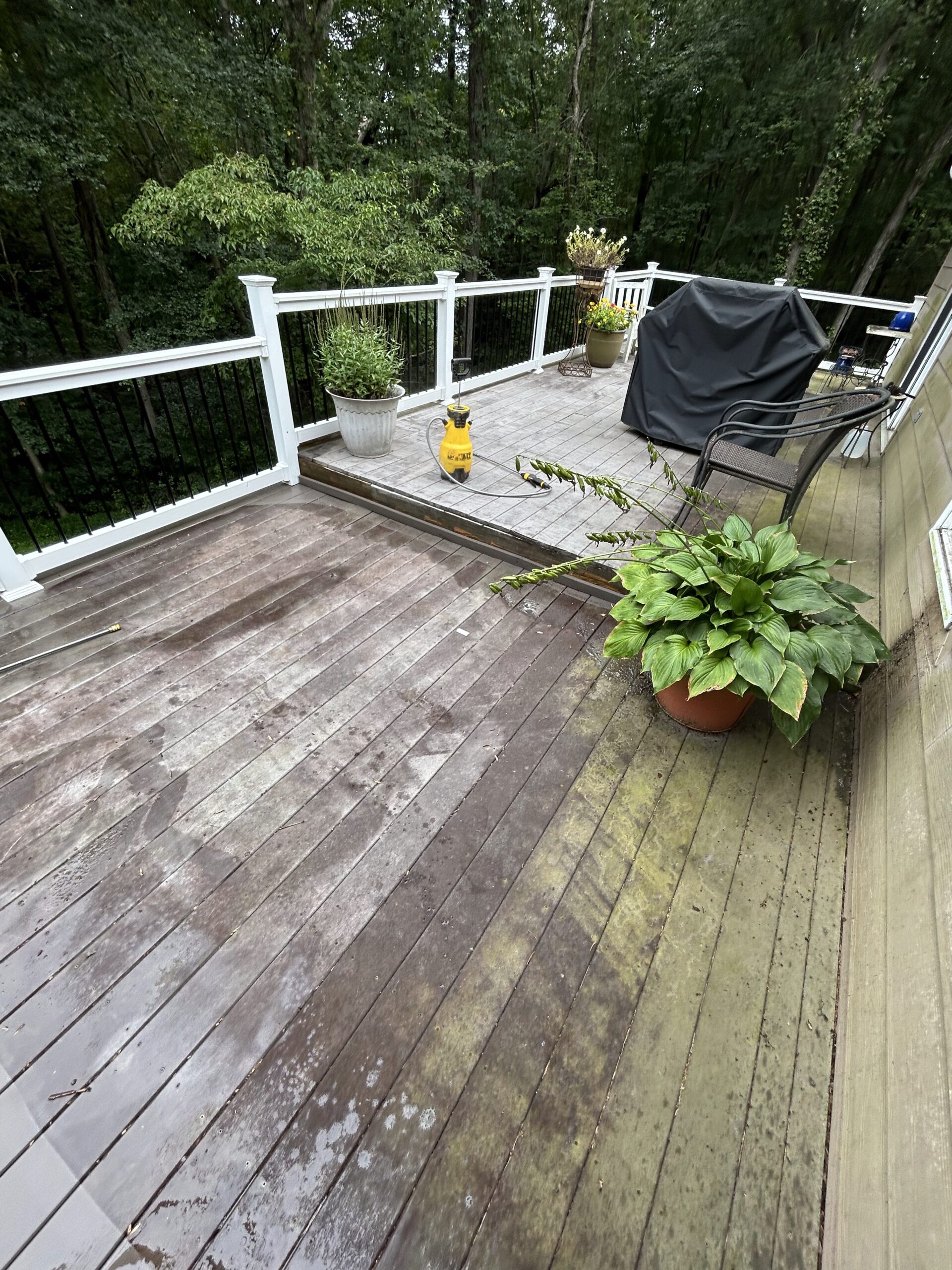 Pressure Washing 1