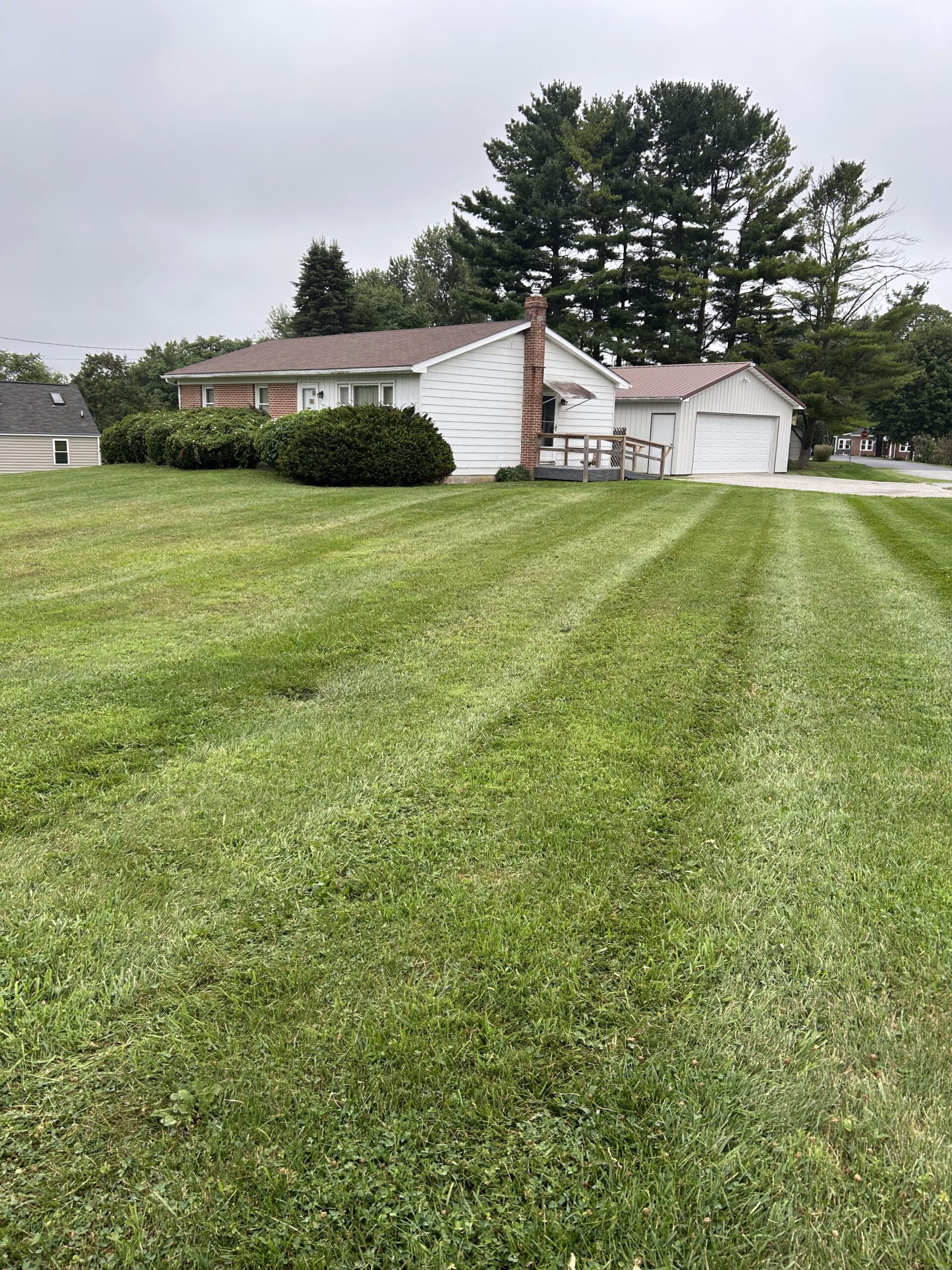 Lawn Mowing 1