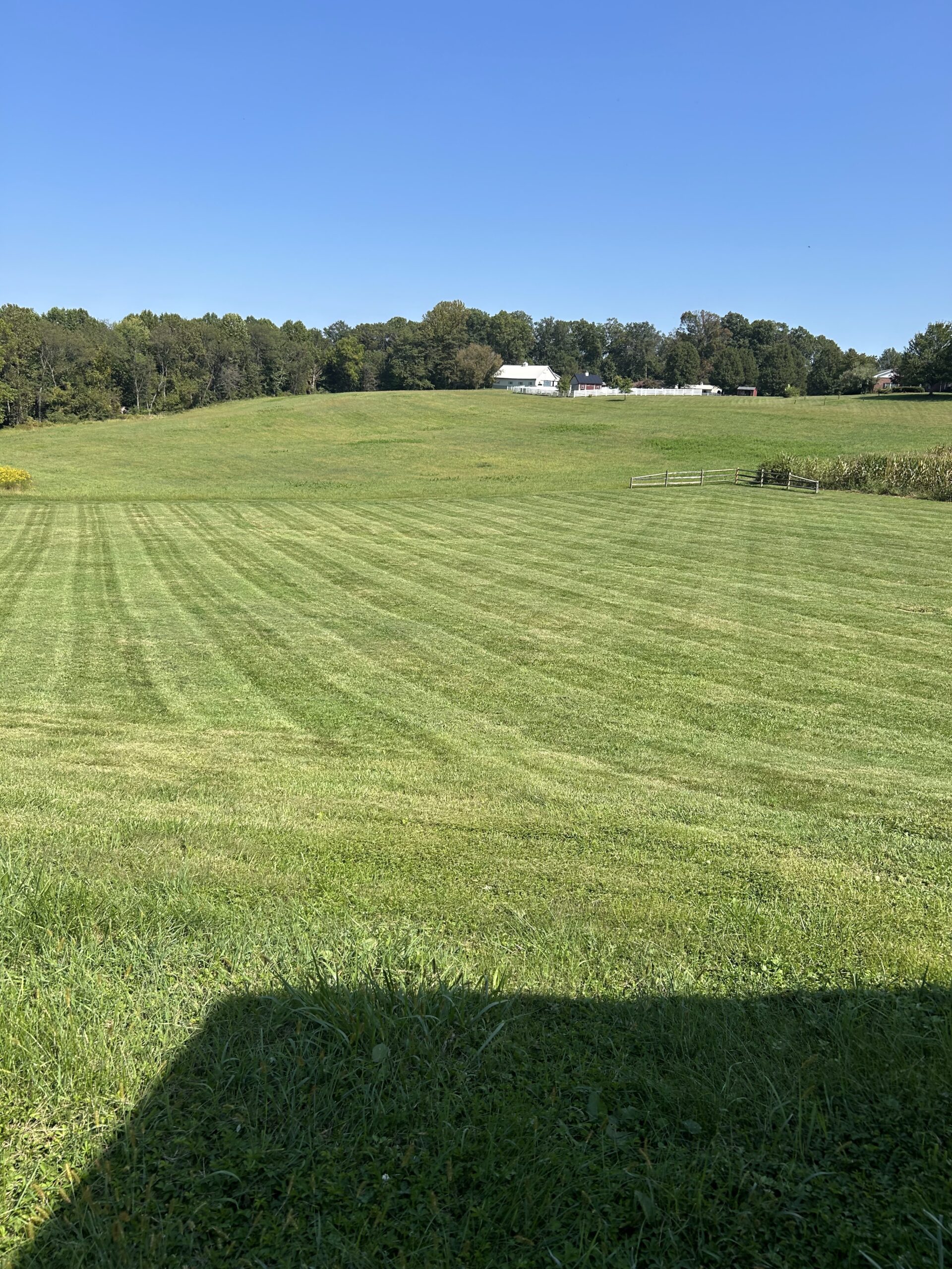 Lawn Mowing 3