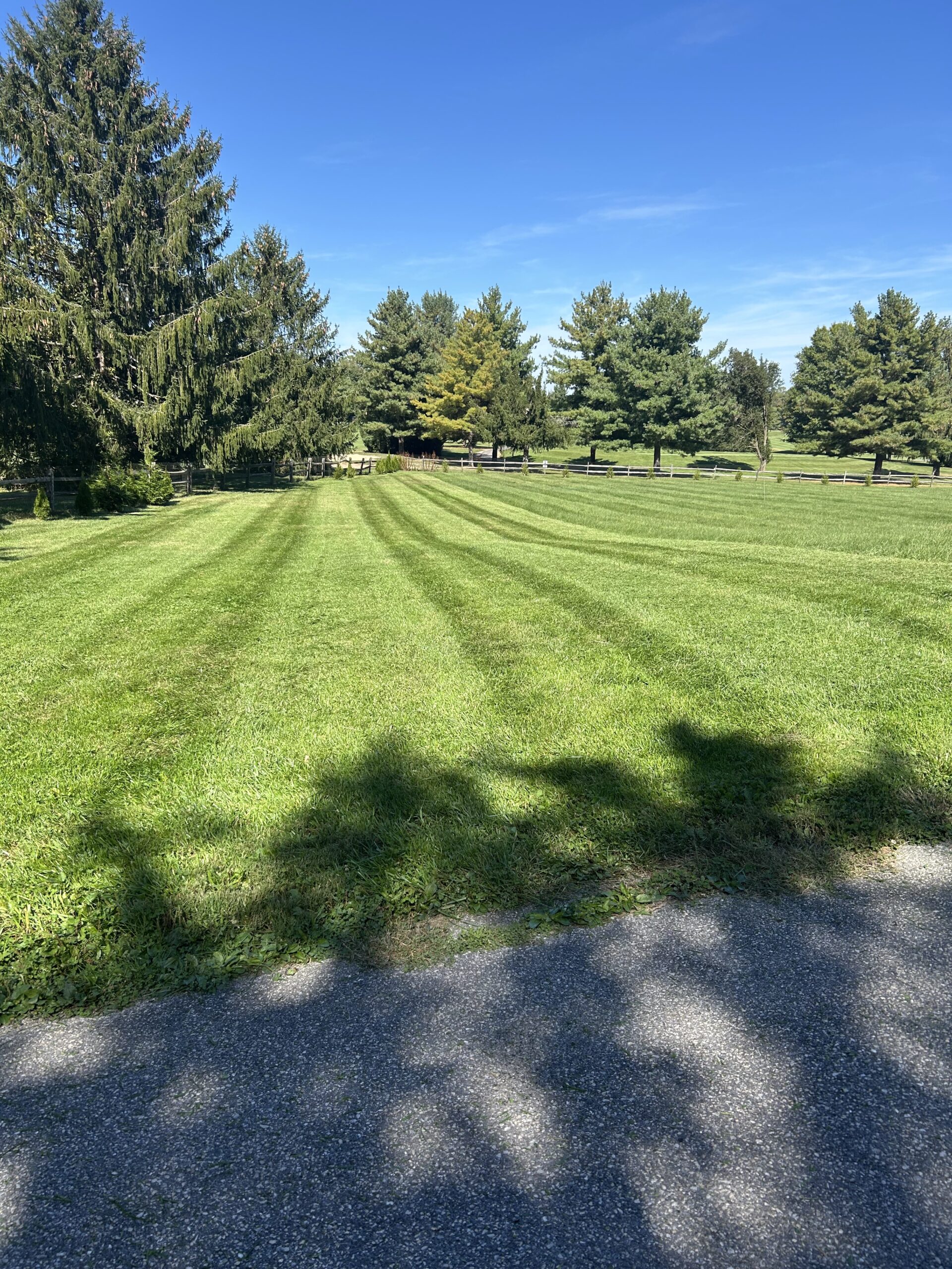 Lawn Mowing 2