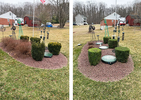 Bush Trimming in Your Area