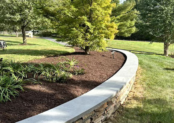 Mastering Your Bel Air Property: Expert Landscaping and Lawn Maintenance Strategies